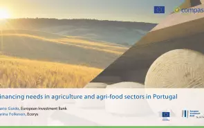 Financing needs in agriculture and agri-food sectors in Portugal