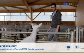 Aurélien’s story – Improving animal welfare with EAFRD financial instruments
